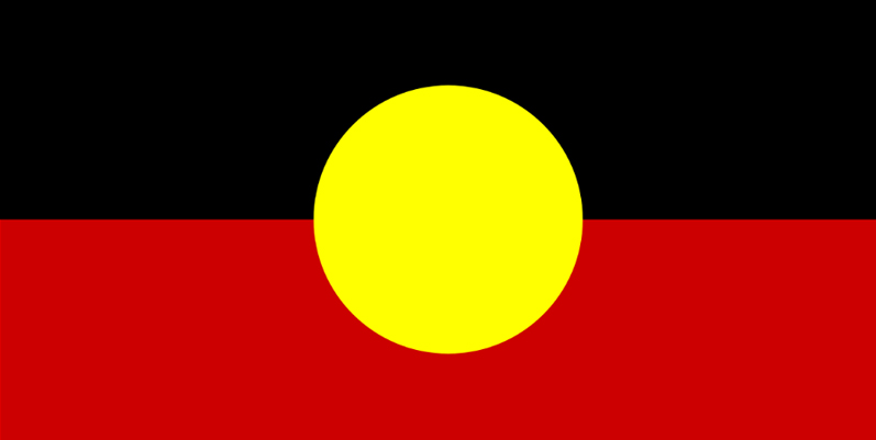 support worker disability